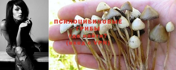 экстази Пересвет