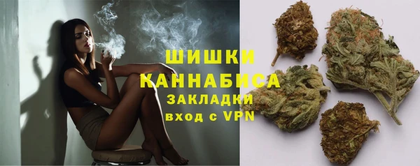 PSILOCYBIN Дмитров