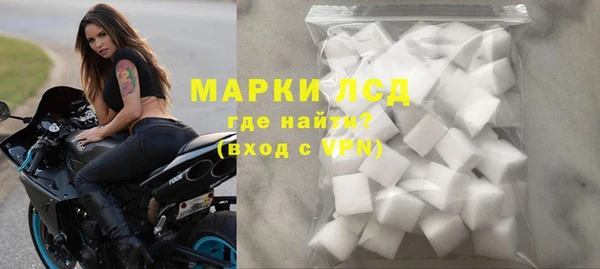 стаф Гатчина