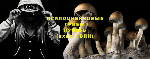 эйфоретик Пестово