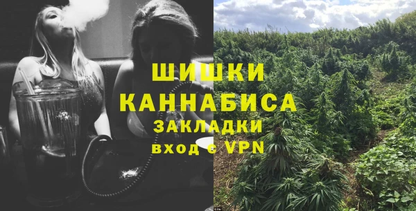 эйфоретик Пестово