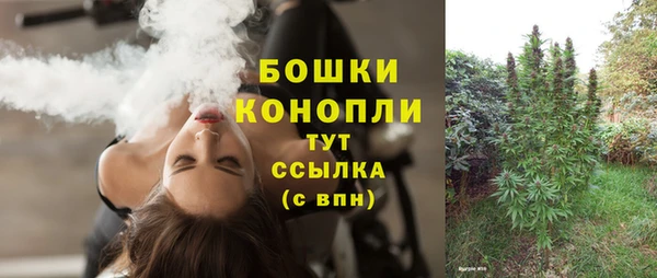 экстази Пересвет