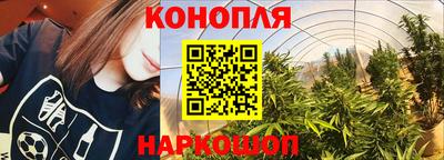 ПСИЛОЦИБИНОВЫЕ ГРИБЫ Гусев