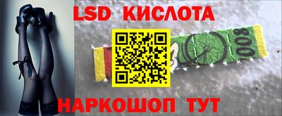 ПСИЛОЦИБИНОВЫЕ ГРИБЫ Гусев