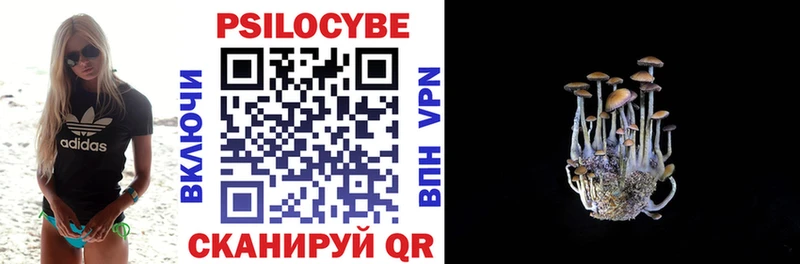 hydra как войти  купить  цена  Кимовск  Псилоцибиновые грибы MAGIC MUSHROOMS 