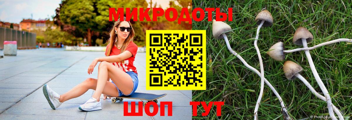 Галлюциногенные грибы MAGIC MUSHROOMS Кимовск