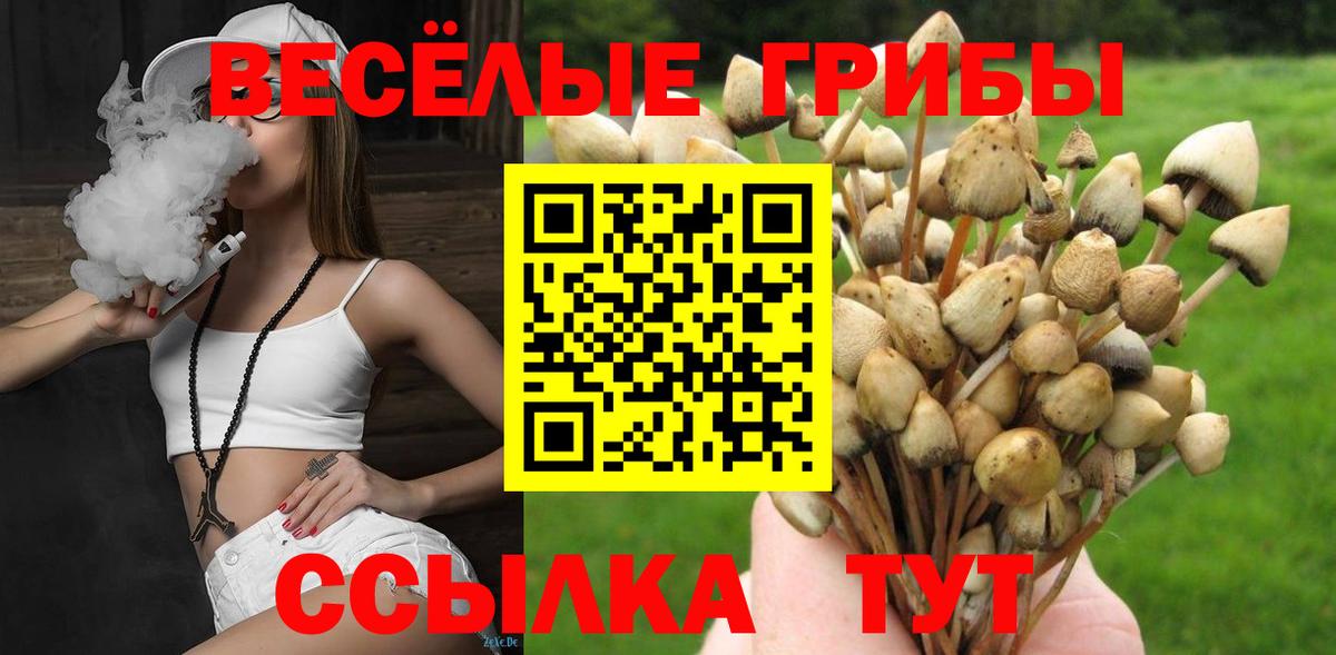 Кимовск  Псилоцибиновые грибы Psilocybe  Псилоцибиновые грибы мицелий  Вход с VPN 